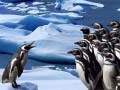 Spēle Penguins Slide