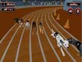 Spēle Crazyl Dog Racing Fever
