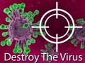 Spēle Destroy The Virus