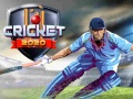 Spēle Cricket 2020