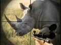 Spēle Wild Rhino Hunter
