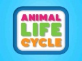 Spēle Animal Life Cycle