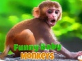 Spēle Funny Baby Monkey