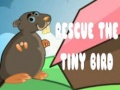 Spēle Rescue The Tiny Bird