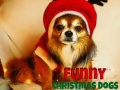 Spēle Funny Christmas Dogs
