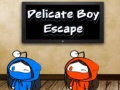 Spēle Delicate Boy Escape