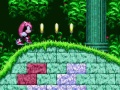 Spēle Mighty & Ray In Sonic 2