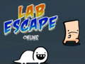 Spēle Lab Escape Online