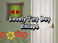 Spēle Lovely Tiny Boy Escape