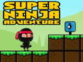 Spēle Super Adventure Ninja