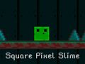 Spēle Square Pixel Slime