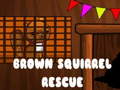 Spēle Brown Squirrel Rescue