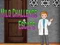 Spēle Amgel Mild Challenge Escape