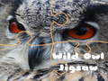 Spēle Wild owl Jigsaw