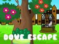 Spēle Dove Escape