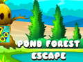 Spēle Pond Forest Escape