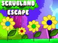 Spēle Scrubland Escape