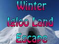 Spēle Winter Igloo Land Escape 