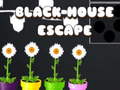 Spēle Black House Escape