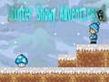 Spēle Winter Snowy Adventures 1