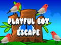 Spēle Playful Boy Escape