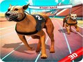Spēle Crazy Dog Race
