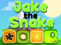 Spēle Jake The Snake