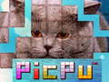 Spēle PicPu Cat 