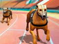 Spēle Dogs3D Races