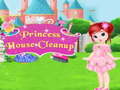 Spēle Princess House Cleanup