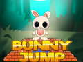 Spēle Bunny Jump