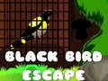 Spēle Black Bird Escape
