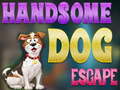 Spēle Handsome Dog Escape
