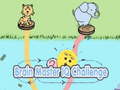 Spēle Brain Master IQ Challenge