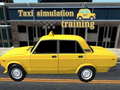 Spēle Taxi simulation training