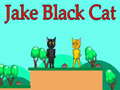 Spēle Jake Black Cat