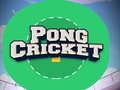 Spēle Pong Cricket