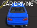 Spēle Car Driving