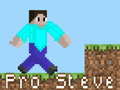 Spēle Pro Steve