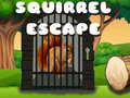 Spēle Squirrel Escape