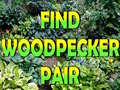 Spēle Find Woodpecker Pair 