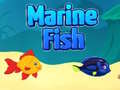 Spēle Marine Fish