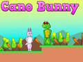 Spēle Cano Bunny