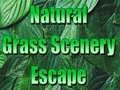 Spēle Natural Grass Scenery Escape