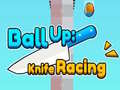 Spēle Ball Up: Knife Racing 