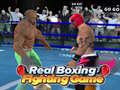 Spēle Real Boxing Fighting Game