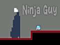 Spēle Ninja Guy