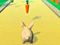 Spēle Rabbit Runner