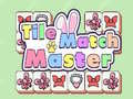 Spēle Tile Match Master