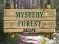 Spēle Mystery Forest